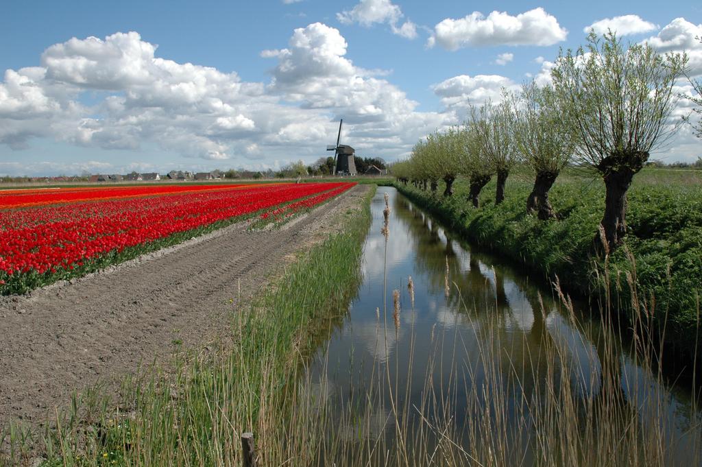 Restinn Aartswoud Exterior foto